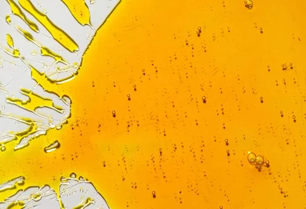 Lecithin: Ein vielseitiger natürlicher Inhaltsstoff Lecithin: Ein vielseitiger natürlicher Inhaltsstoff